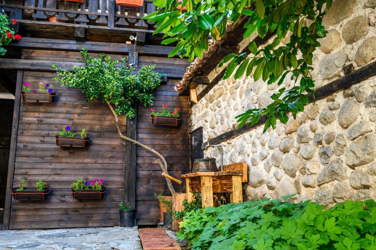 Banskovilla Zlateva House 外观 照片